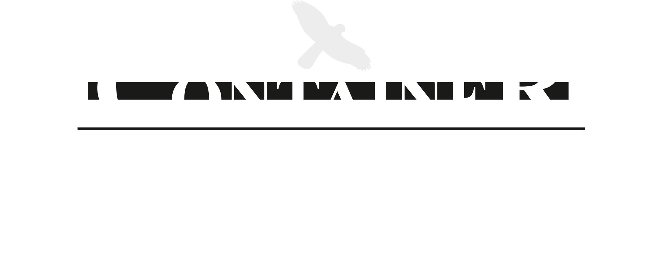 Logo von Container Habicht, Vogel über Schriftzug